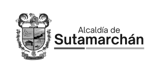 2 - Maria Carolina Sanchez Sotelo