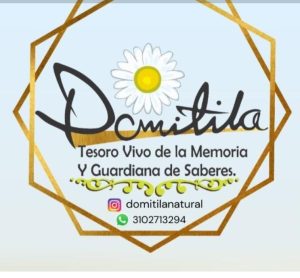 Screenshot_2025-11-05-11-10-59-26_7352322957d4404136654ef4adb64504 - Domitila Paipa